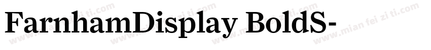 FarnhamDisplay BoldS字体转换